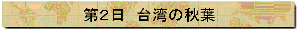 Q@p̏Ht