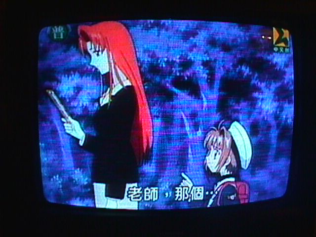 テレビでは日本のアニメが字幕付で